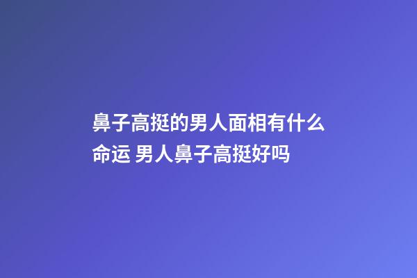 鼻子高挺的男人面相有什么命运 男人鼻子高挺好吗